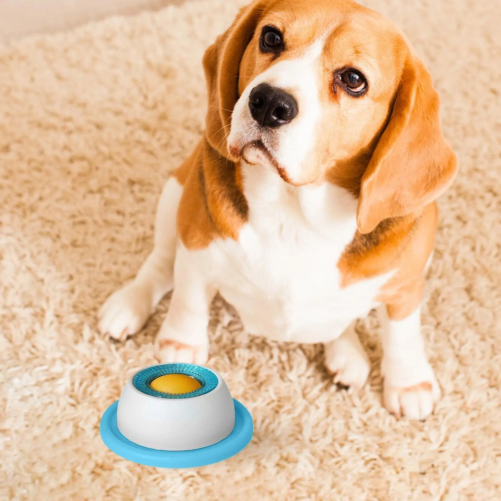 Interactive Slow Feeder Dog Puzzle Bowl