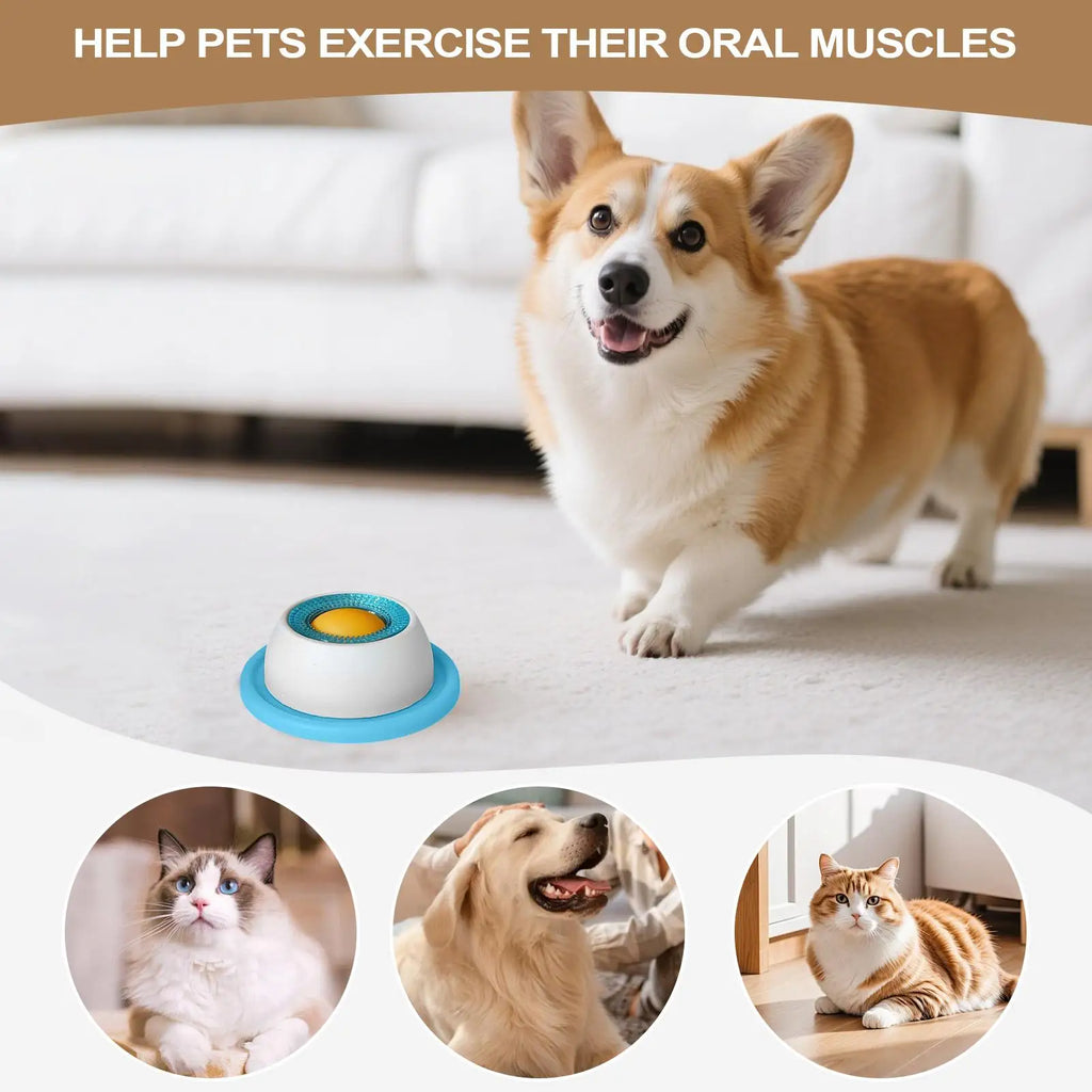 Interactive Slow Feeder Dog Puzzle Bowl